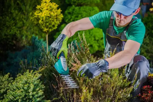 landscaping services Westhampton